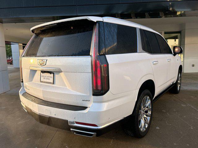 used 2025 Cadillac Escalade car, priced at $119,988