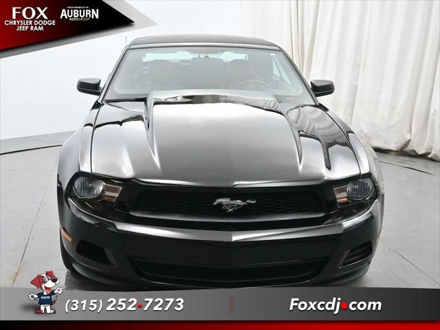 used 2010 Ford Mustang car, priced at $12,995