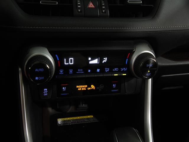 used 2019 Toyota RAV4 car, priced at $21,990