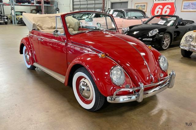 used 1964 Volkswagen Beetle (Pre-1980) car, priced at $66,500