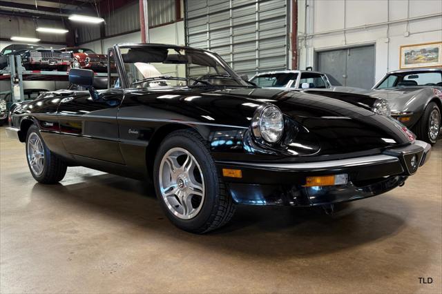 used 1986 Alfa Romeo Spider car, priced at $21,500