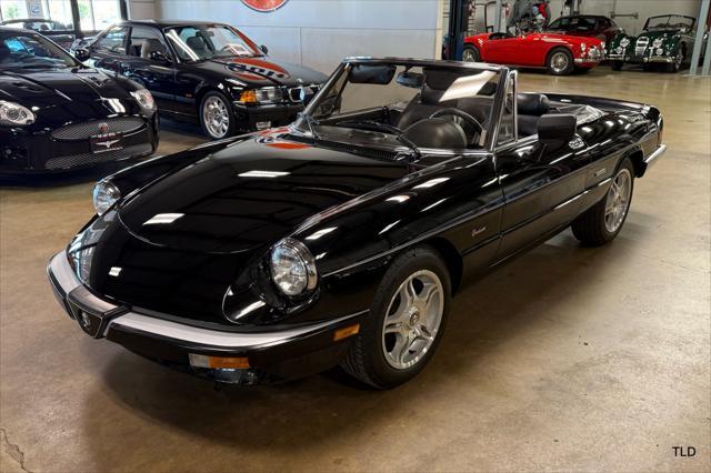 used 1986 Alfa Romeo Spider car, priced at $21,500