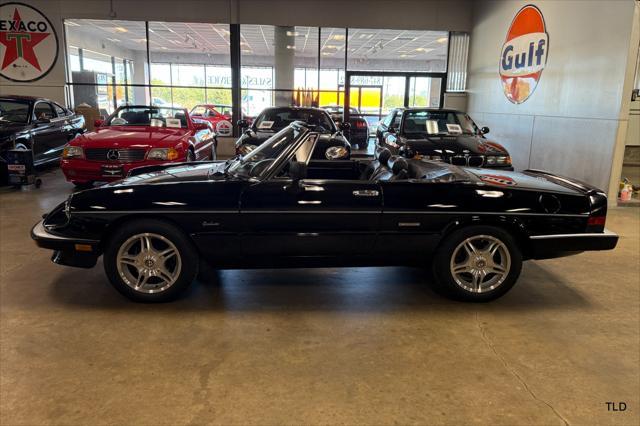 used 1986 Alfa Romeo Spider car, priced at $21,500