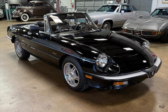 used 1986 Alfa Romeo Spider car, priced at $21,500