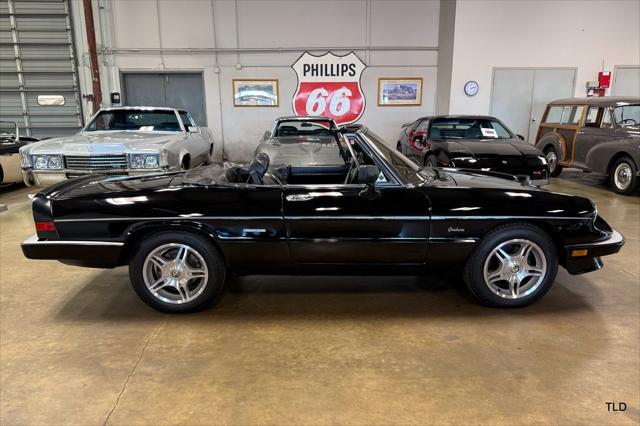 used 1986 Alfa Romeo Spider car, priced at $21,500