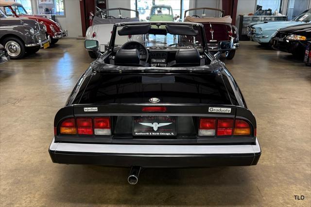 used 1986 Alfa Romeo Spider car, priced at $21,500