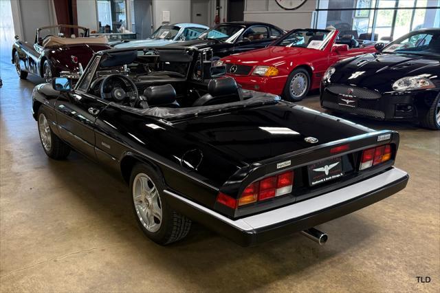 used 1986 Alfa Romeo Spider car, priced at $21,500