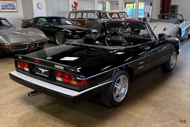 used 1986 Alfa Romeo Spider car, priced at $21,500