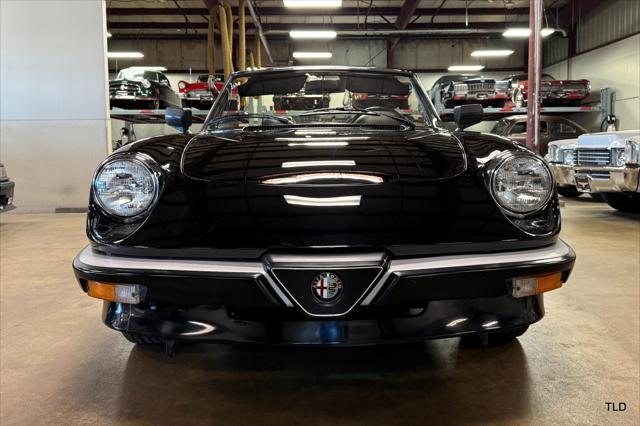 used 1986 Alfa Romeo Spider car, priced at $21,500