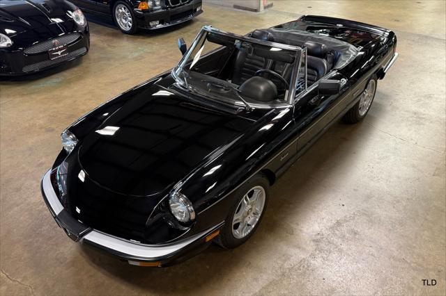 used 1986 Alfa Romeo Spider car, priced at $21,500