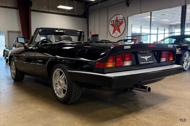 used 1986 Alfa Romeo Spider car, priced at $21,500