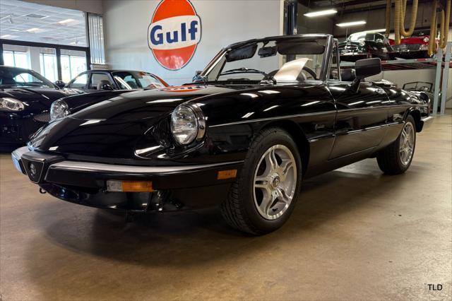 used 1986 Alfa Romeo Spider car, priced at $21,500