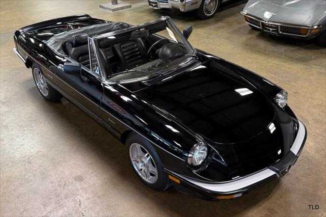 used 1986 Alfa Romeo Spider car, priced at $21,500