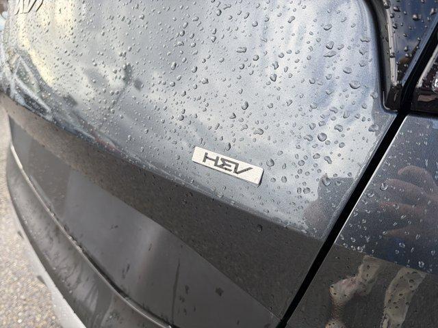 used 2025 Kia Sportage Hybrid car, priced at $27,081