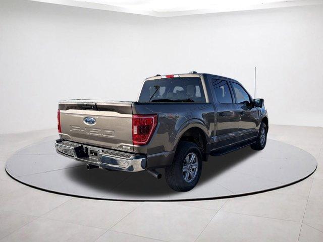 used 2023 Ford F-150 car, priced at $43,975