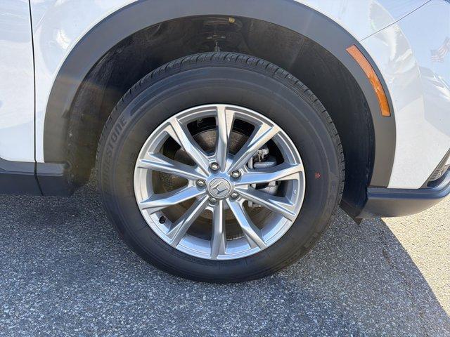 used 2025 Honda CR-V car