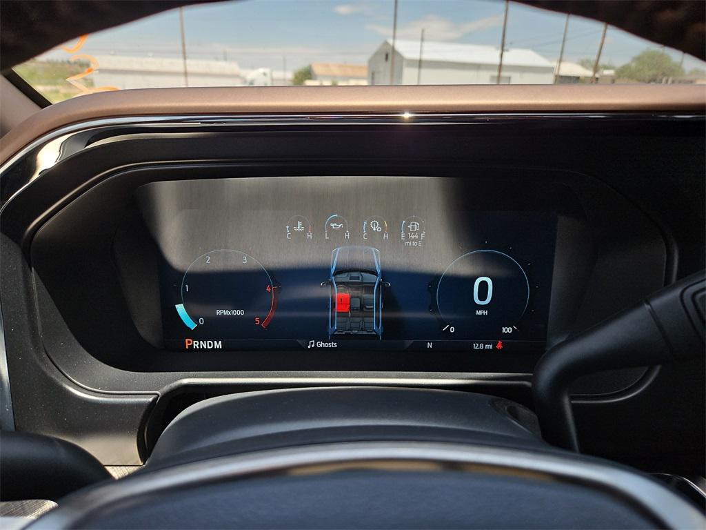 new 2025 Ford F-250 car, priced at $96,168