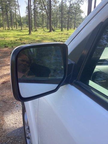 used 2015 Honda Pilot car