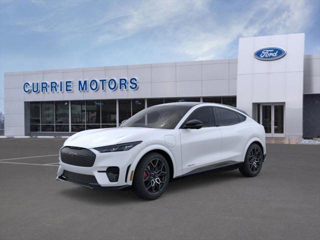 new 2025 Ford Mustang Mach-E car
