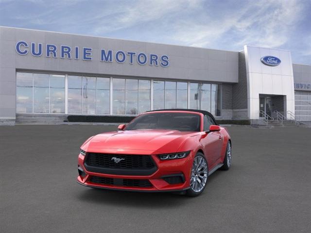 new 2024 Ford Mustang car, priced at $45,538