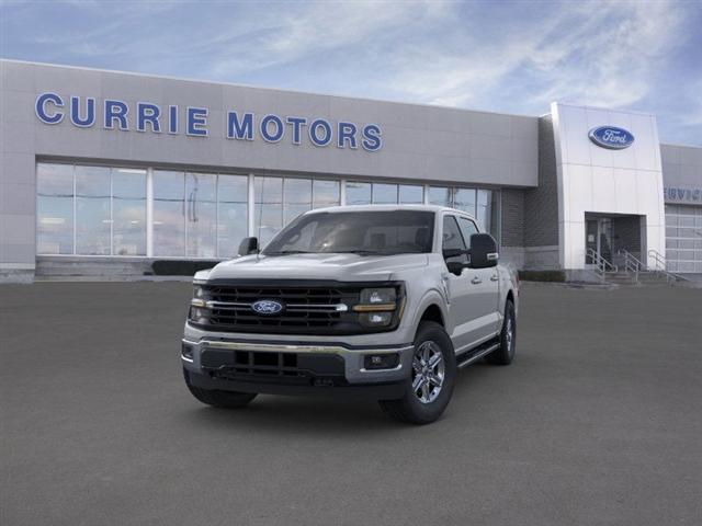 new 2024 Ford F-150 car, priced at $48,979