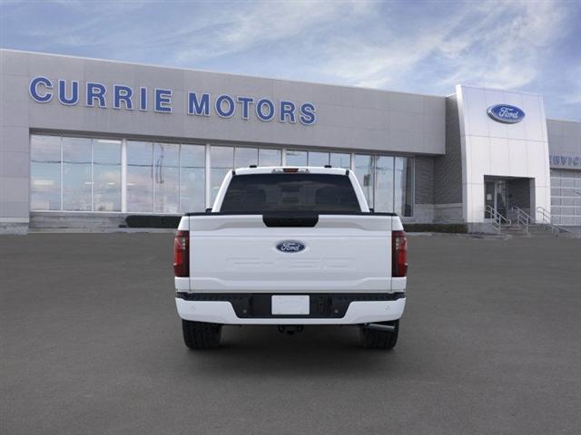 new 2025 Ford F-150 car, priced at $48,807