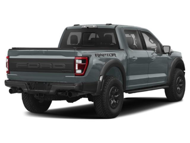 used 2023 Ford F-150 car, priced at $110,000