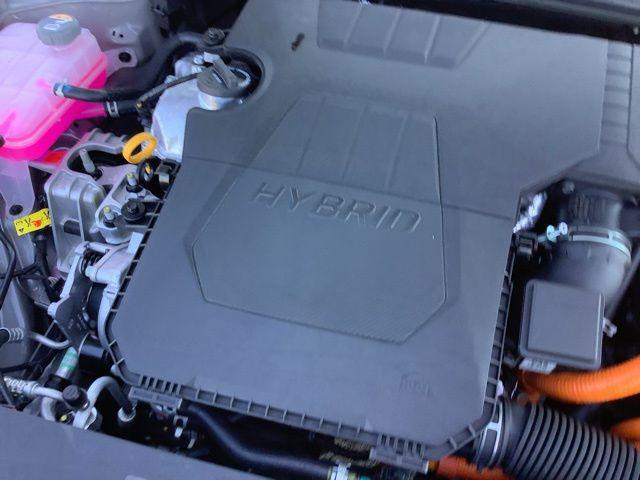 new 2025 Hyundai Elantra car, priced at $31,585