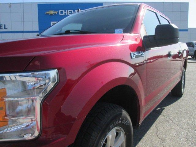 used 2019 Ford F-150 car, priced at $34,335