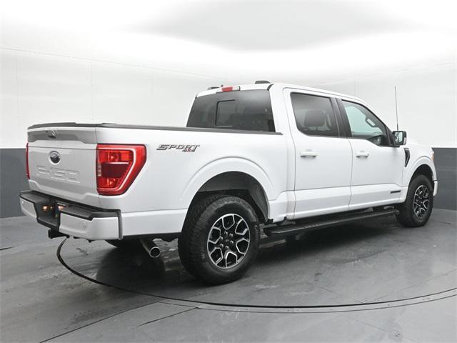 used 2023 Ford F-150 car, priced at $43,250