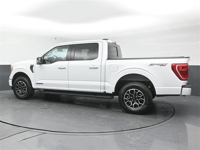 used 2023 Ford F-150 car, priced at $43,250