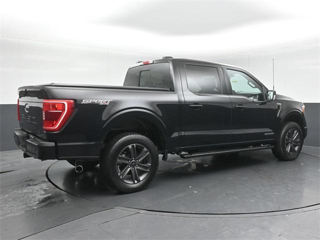 used 2023 Ford F-150 car, priced at $40,999