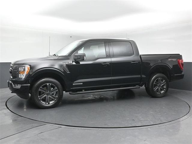 used 2023 Ford F-150 car, priced at $40,999