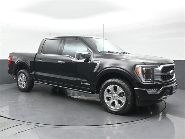 used 2023 Ford F-150 car, priced at $59,950