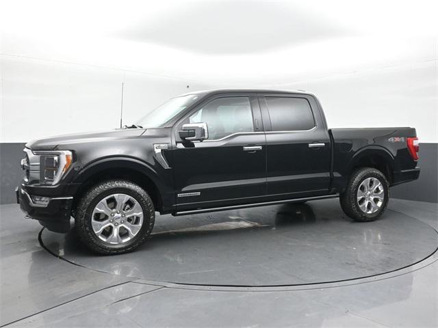 used 2023 Ford F-150 car, priced at $59,950