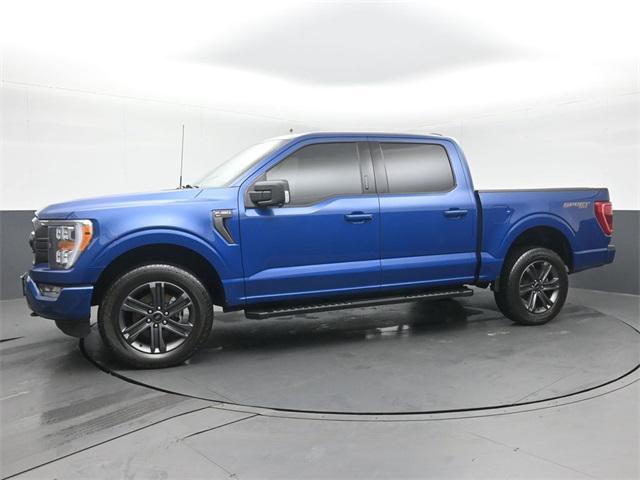 used 2023 Ford F-150 car, priced at $43,625