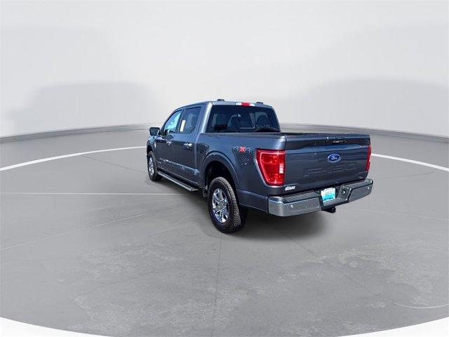 used 2023 Ford F-150 car, priced at $54,000