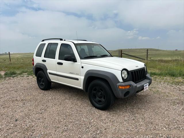 used 2002 Jeep Liberty car, priced at $2,988