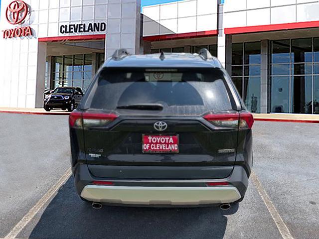 used 2019 Toyota RAV4 car, priced at $28,991