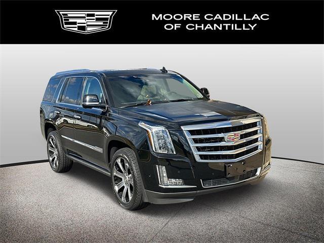 used 2017 Cadillac Escalade car, priced at $30,000