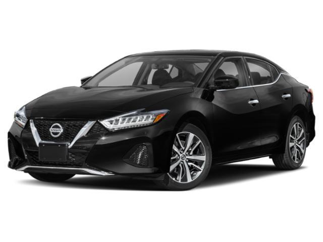 used 2019 Nissan Maxima car