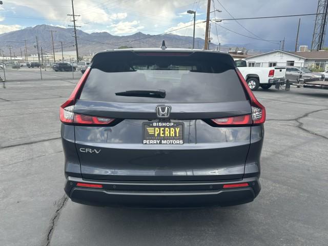 new 2025 Honda CR-V car, priced at $36,344