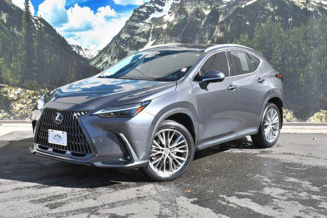 used 2024 Lexus NX 350 car, priced at $43,499