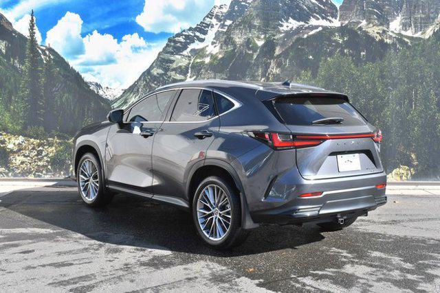 used 2024 Lexus NX 350 car, priced at $43,499
