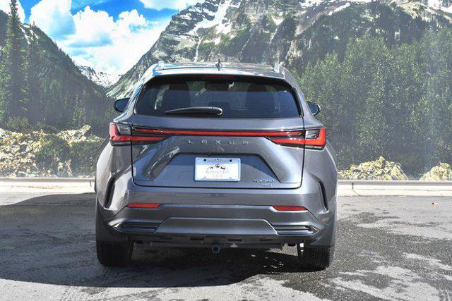 used 2024 Lexus NX 350 car, priced at $43,499