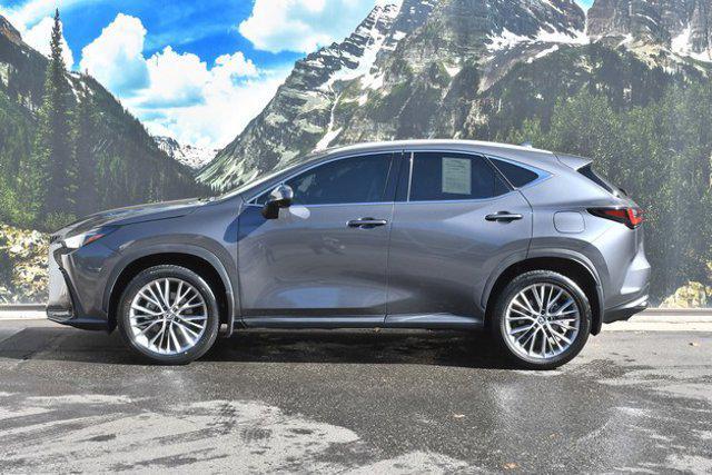 used 2024 Lexus NX 350 car, priced at $43,499