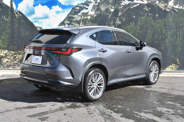 used 2024 Lexus NX 350 car, priced at $43,499