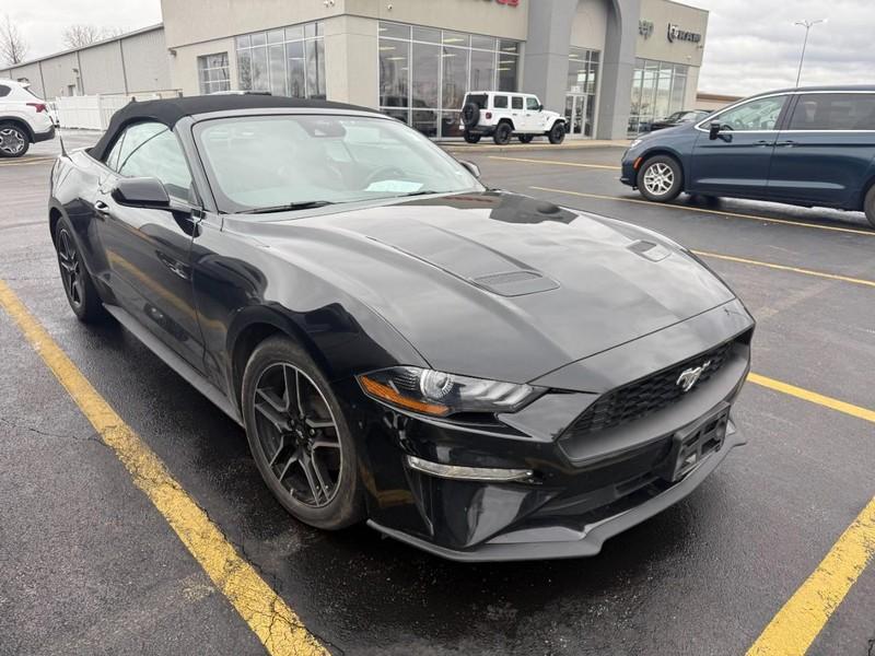 used 2022 Ford Mustang car, priced at $24,900