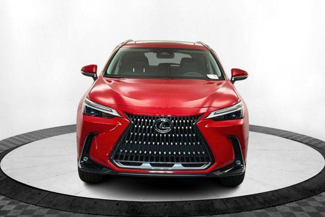 used 2024 Lexus NX 350 car, priced at $38,046