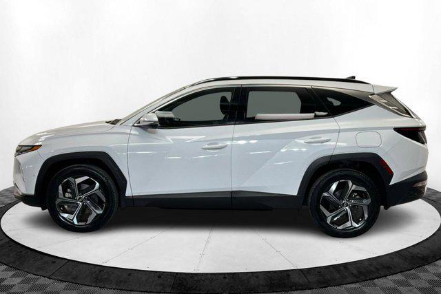 used 2023 Hyundai Tucson car, priced at $26,279